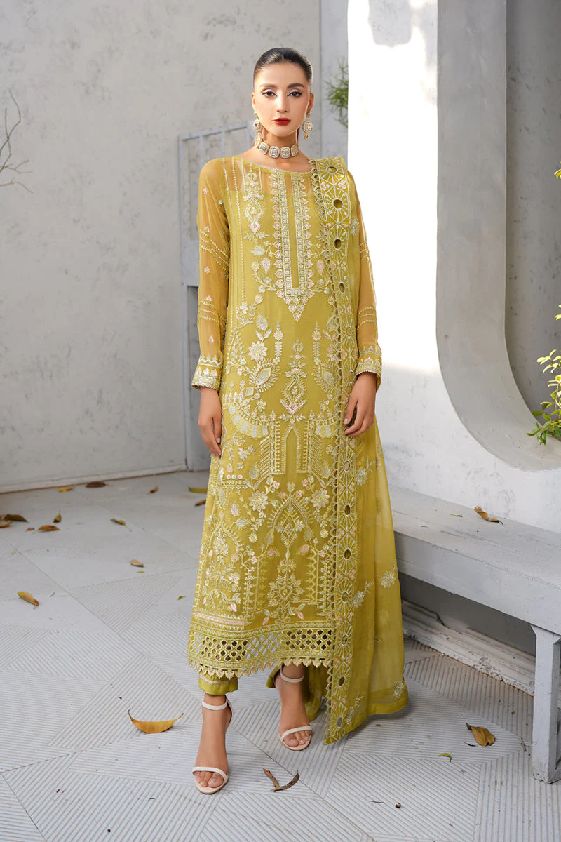 Salai Festive Organza 3 Piece Amani
